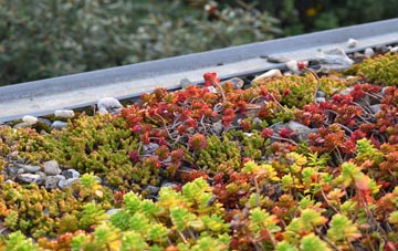 the cost of Havering green roof installation