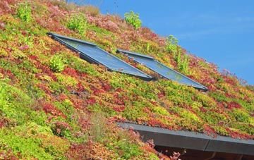 Havering living roof systems